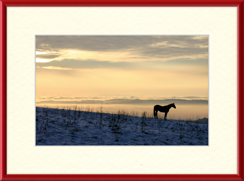 On the Hill of Gehrenberg - Great Pictures Framed