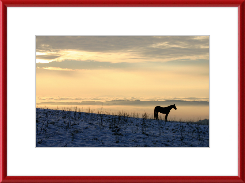 On the Hill of Gehrenberg - Great Pictures Framed