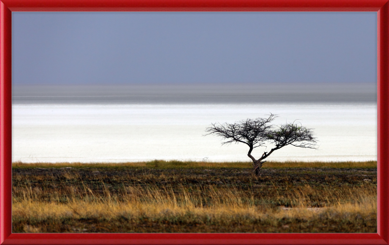 Namibia's Dry Etosha Pan - Great Pictures Framed