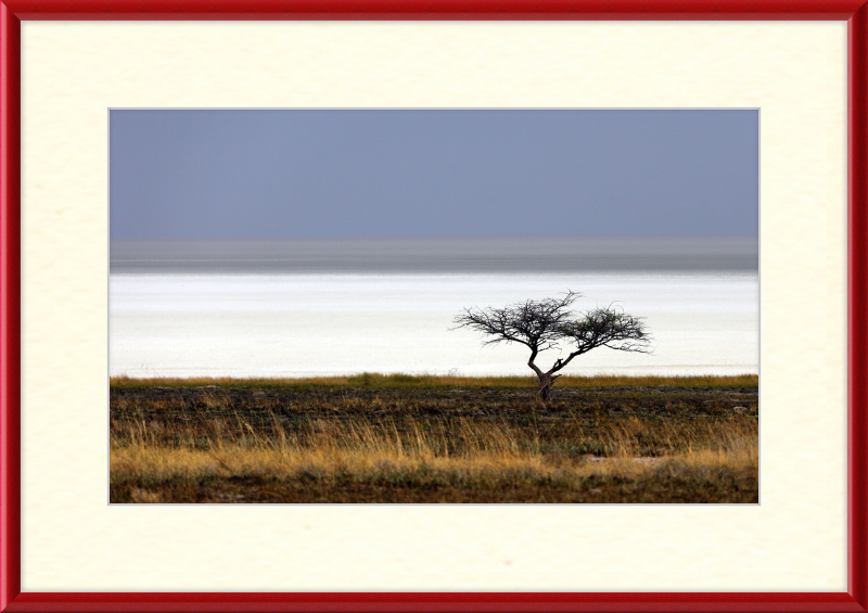 Namibia's Dry Etosha Pan - Great Pictures Framed