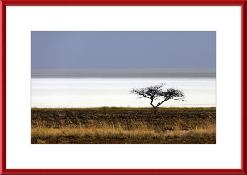 Namibia's Dry Etosha Pan - Great Pictures Framed