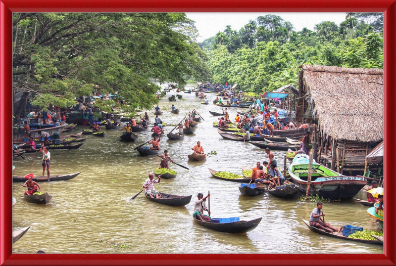 Floating Guava Market - Great Pictures Framed
