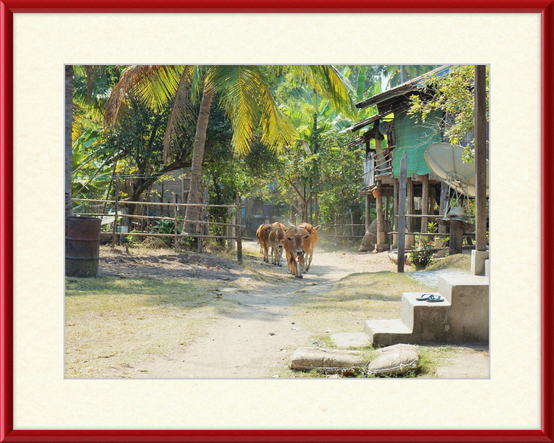 Ile de KHONG in Laos - Great Pictures Framed