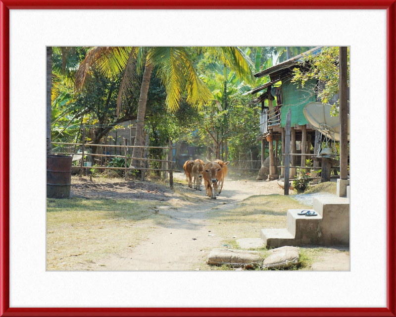 Ile de KHONG in Laos - Great Pictures Framed