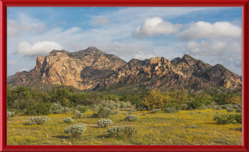 San Carlos Sonora Landscape - Great Pictures Framed