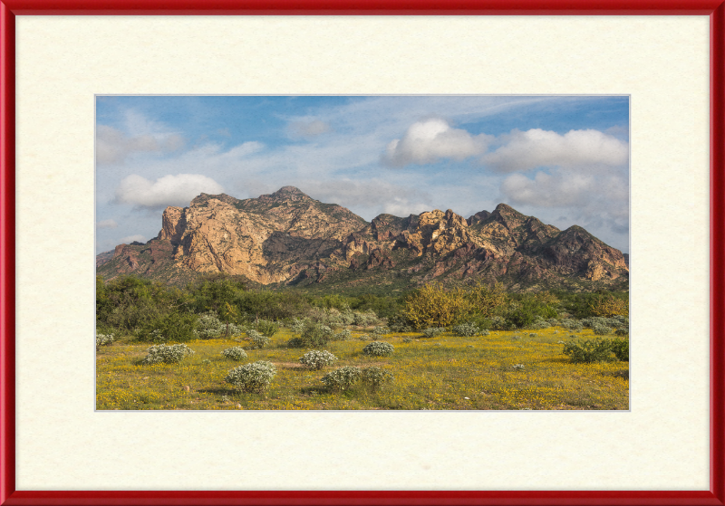 San Carlos Sonora Landscape - Great Pictures Framed