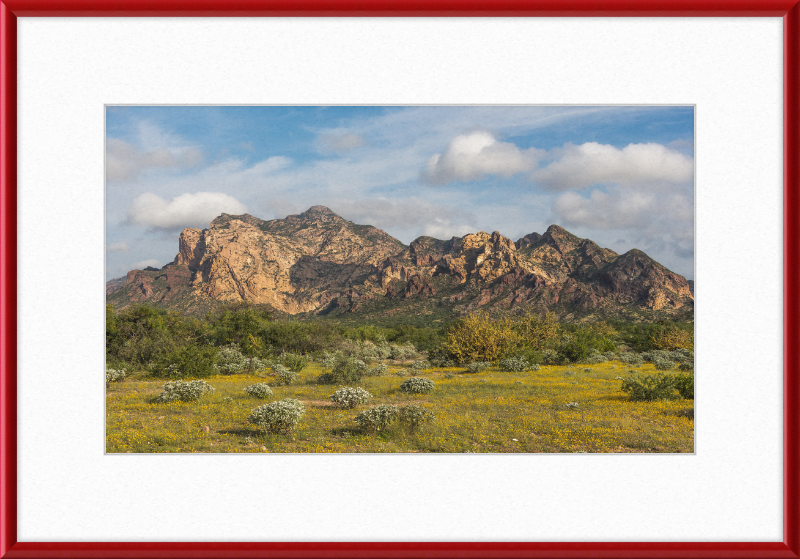 San Carlos Sonora Landscape - Great Pictures Framed