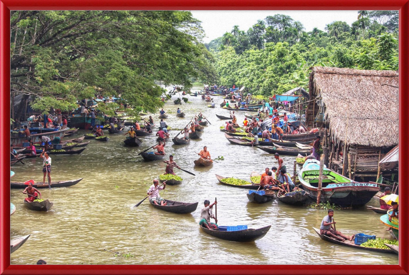 Floating Guava Market - Great Pictures Framed