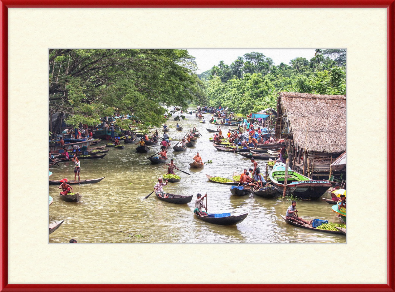 Floating Guava Market - Great Pictures Framed