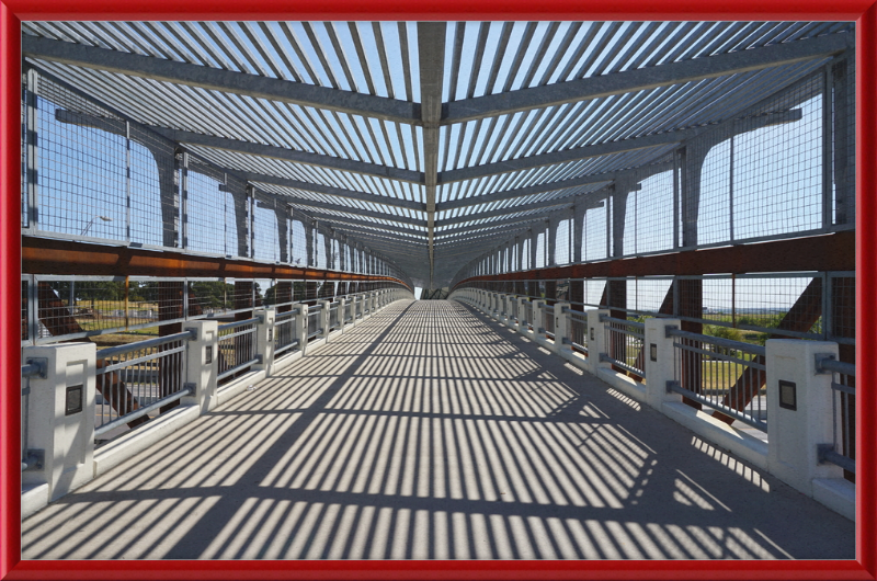 Pedestrian Bridge - University of North Texas - Great Pictures Framed