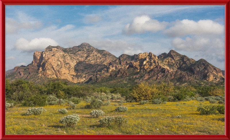 San Carlos Sonora Landscape - Great Pictures Framed