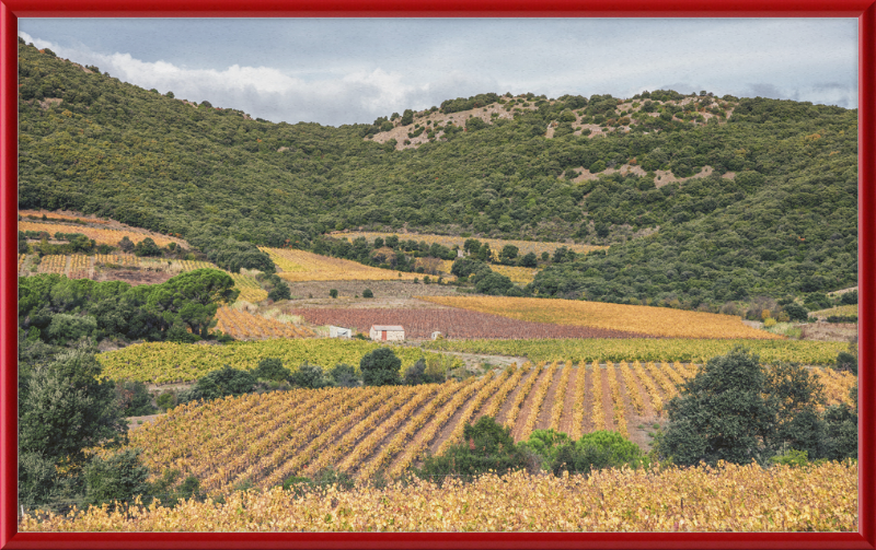 Vineyards Near the Pic de Vissou - Great Pictures Framed