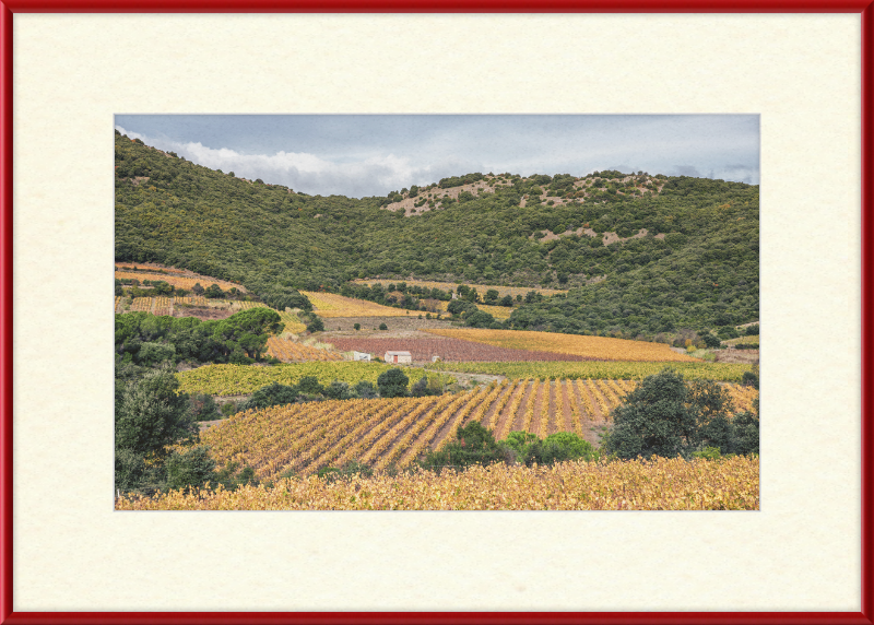 Vineyards Near the Pic de Vissou - Great Pictures Framed