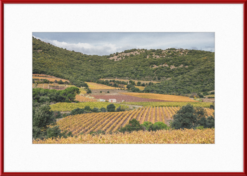Vineyards Near the Pic de Vissou - Great Pictures Framed