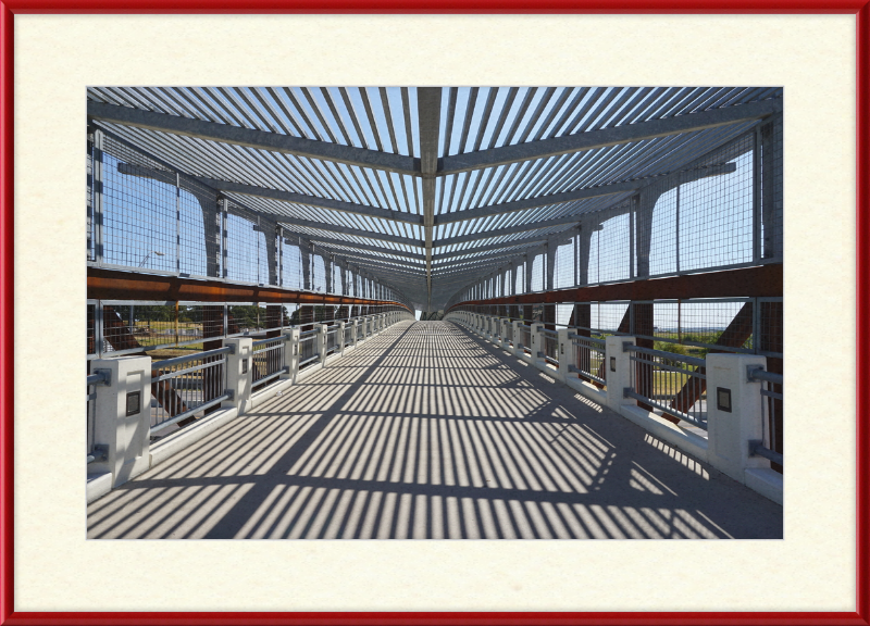 Pedestrian Bridge - University of North Texas - Great Pictures Framed
