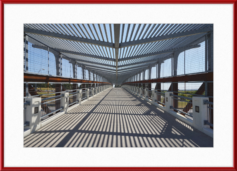 Pedestrian Bridge - University of North Texas - Great Pictures Framed