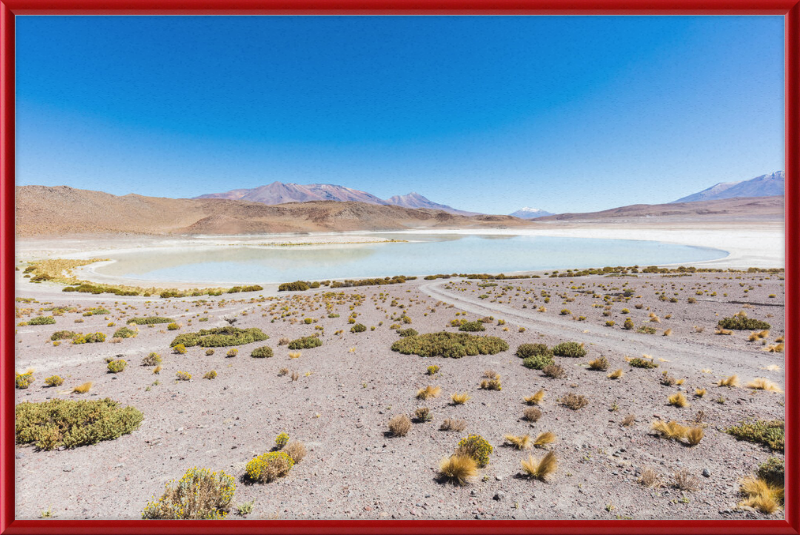 Laguna Honda, Bolivia - Great Pictures Framed