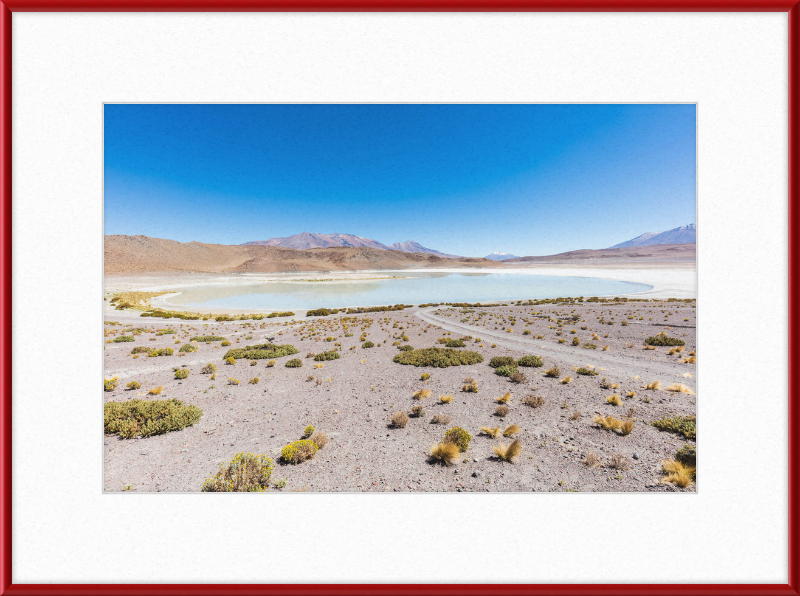 Laguna Honda, Bolivia - Great Pictures Framed