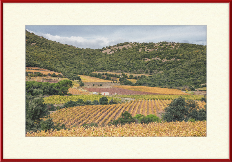 Vineyards Near the Pic de Vissou - Great Pictures Framed