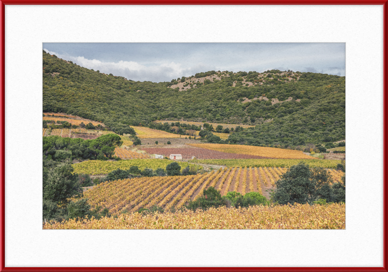 Vineyards Near the Pic de Vissou - Great Pictures Framed