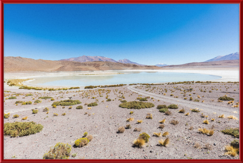 Laguna Honda, Bolivia - Great Pictures Framed