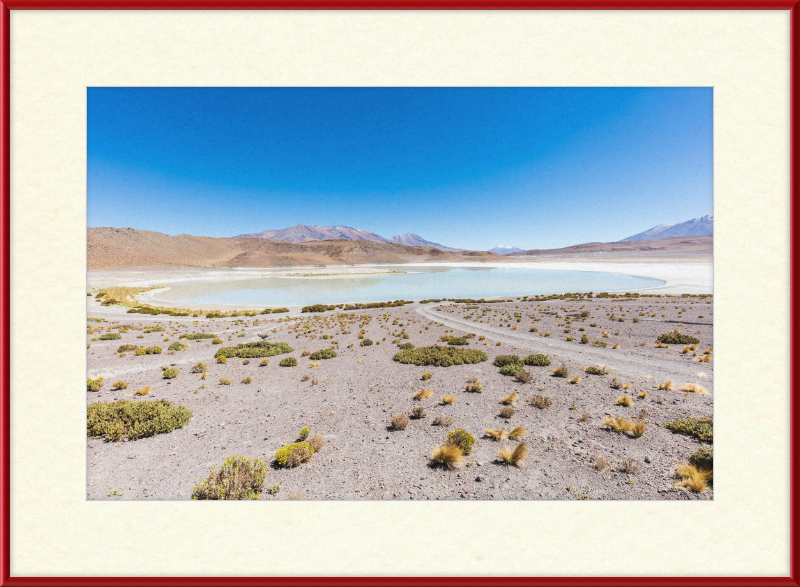 Laguna Honda, Bolivia - Great Pictures Framed