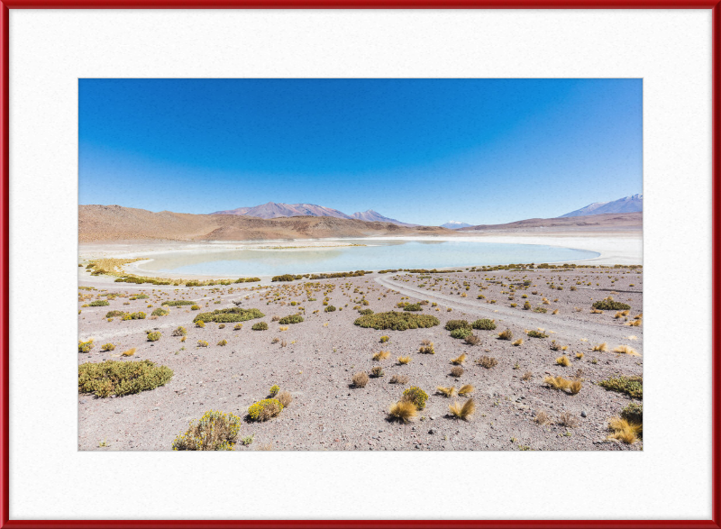 Laguna Honda, Bolivia - Great Pictures Framed