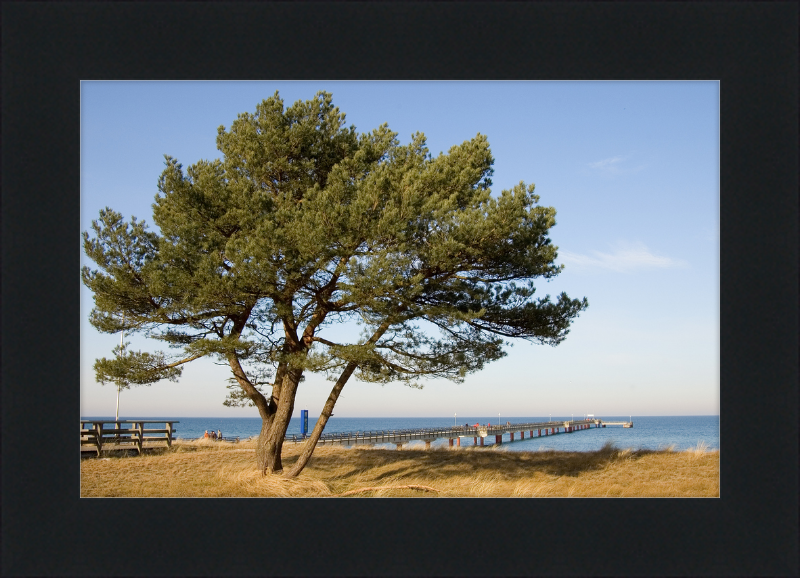 Seebruecke Prerow - Great Pictures Framed
