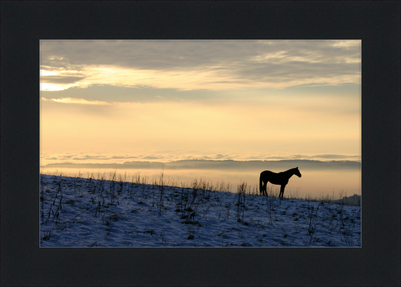 On the Hill of Gehrenberg - Great Pictures Framed