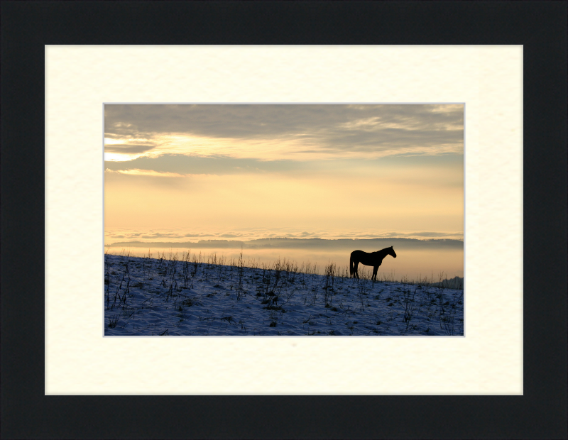 On the Hill of Gehrenberg - Great Pictures Framed