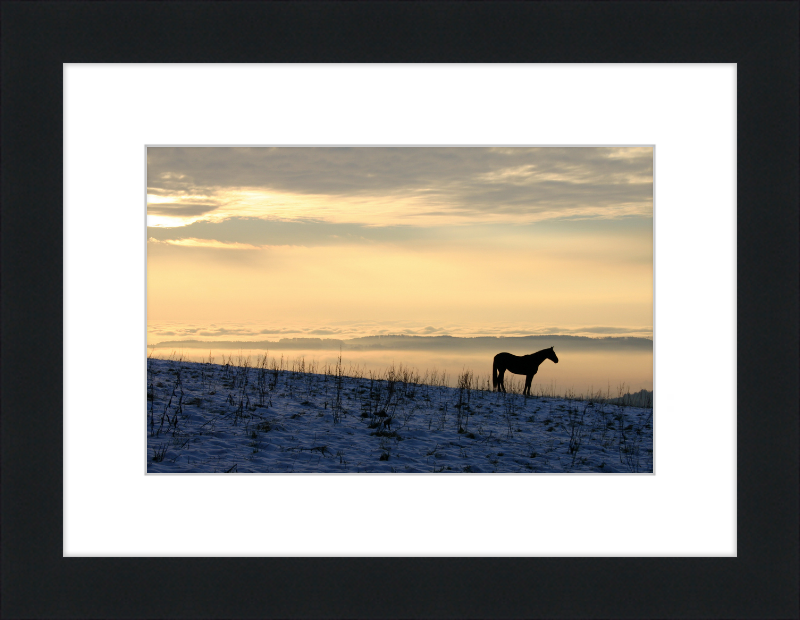 On the Hill of Gehrenberg - Great Pictures Framed