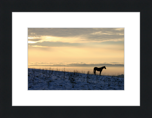 On the Hill of Gehrenberg - Great Pictures Framed