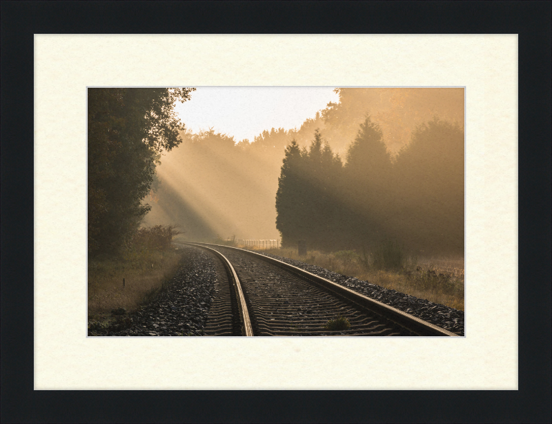 A Track in Börnste - Great Pictures Framed
