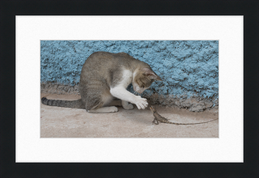 The Cat and the Lizard - Great Pictures Framed