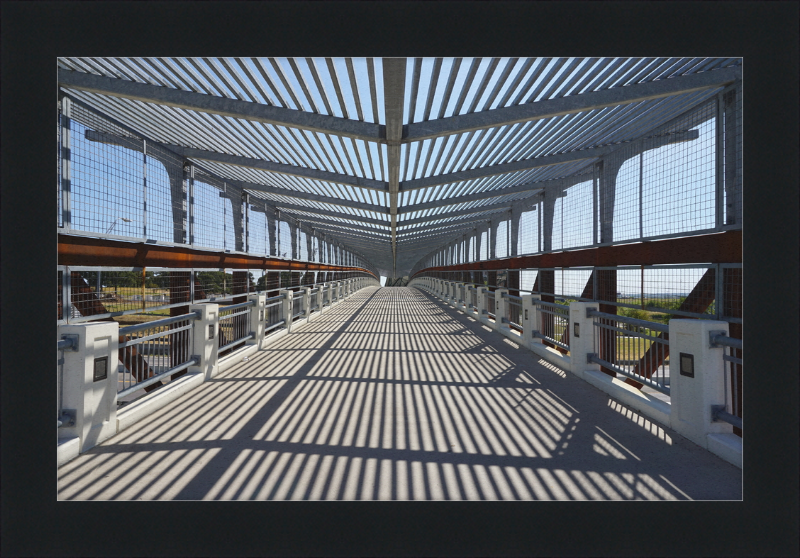 Pedestrian Bridge - University of North Texas - Great Pictures Framed