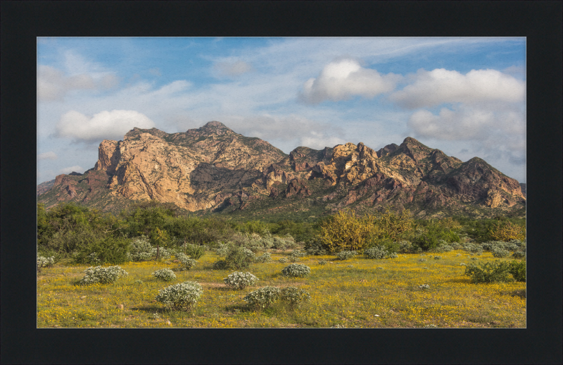 San Carlos Sonora Landscape - Great Pictures Framed