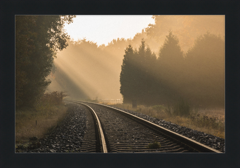 A Track in Börnste - Great Pictures Framed
