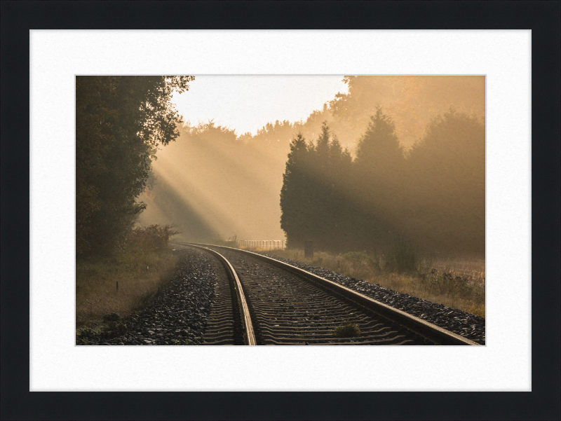 A Track in Börnste - Great Pictures Framed