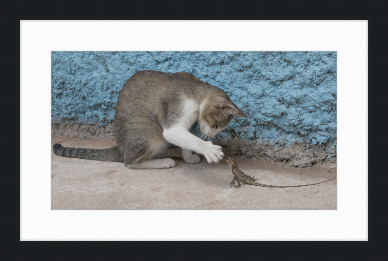 The Cat and the Lizard - Great Pictures Framed