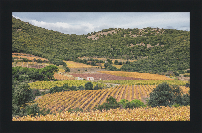 Vineyards Near the Pic de Vissou - Great Pictures Framed