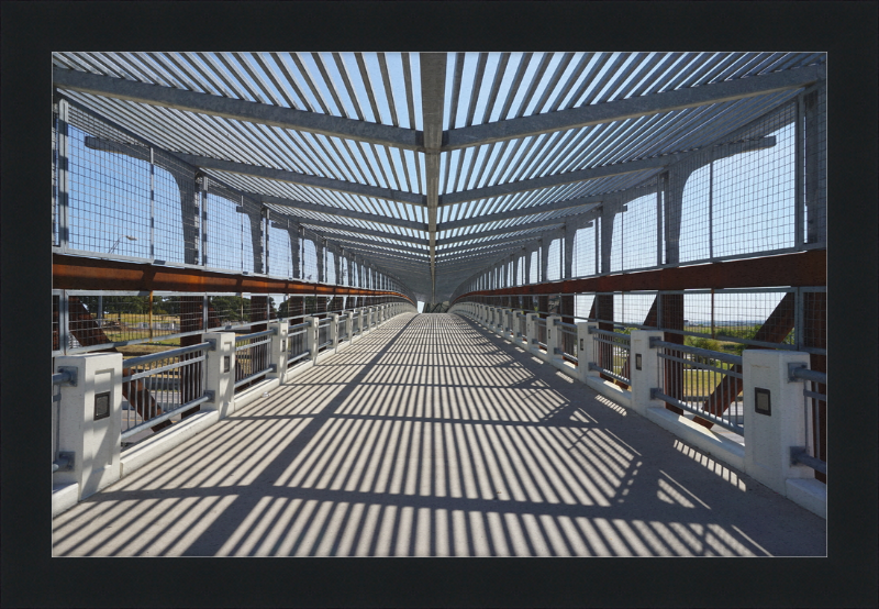 Pedestrian Bridge - University of North Texas - Great Pictures Framed