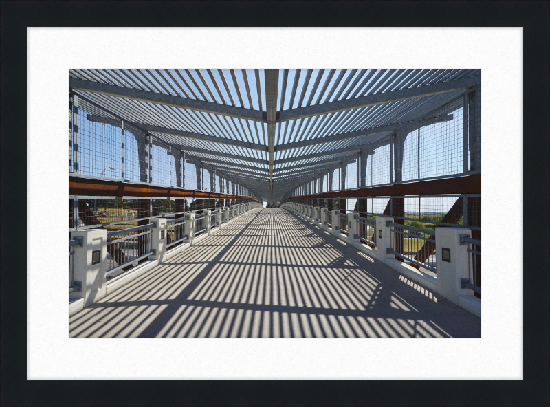 Pedestrian Bridge - University of North Texas - Great Pictures Framed