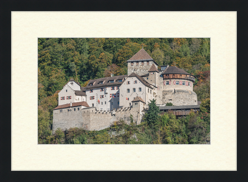 Vaduz Castle - Great Pictures Framed