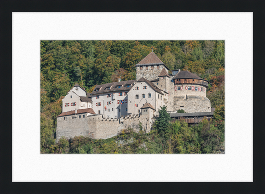 Vaduz Castle - Great Pictures Framed