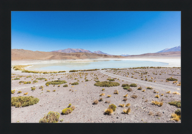 Laguna Honda, Bolivia - Great Pictures Framed