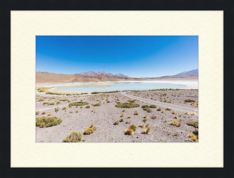 Laguna Honda, Bolivia - Great Pictures Framed