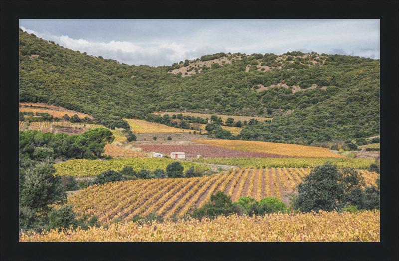 Vineyards Near the Pic de Vissou - Great Pictures Framed