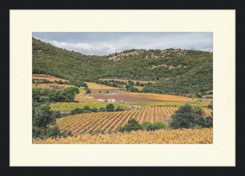 Vineyards Near the Pic de Vissou - Great Pictures Framed