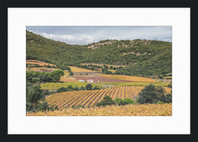 Vineyards Near the Pic de Vissou - Great Pictures Framed