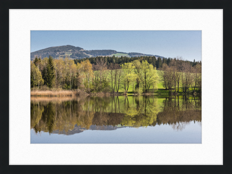 North Shore of Dietrichstein Sea - Great Pictures Framed